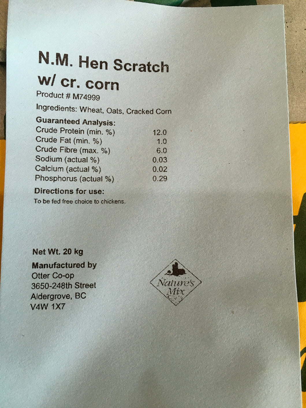 Hen Scratch With Corn