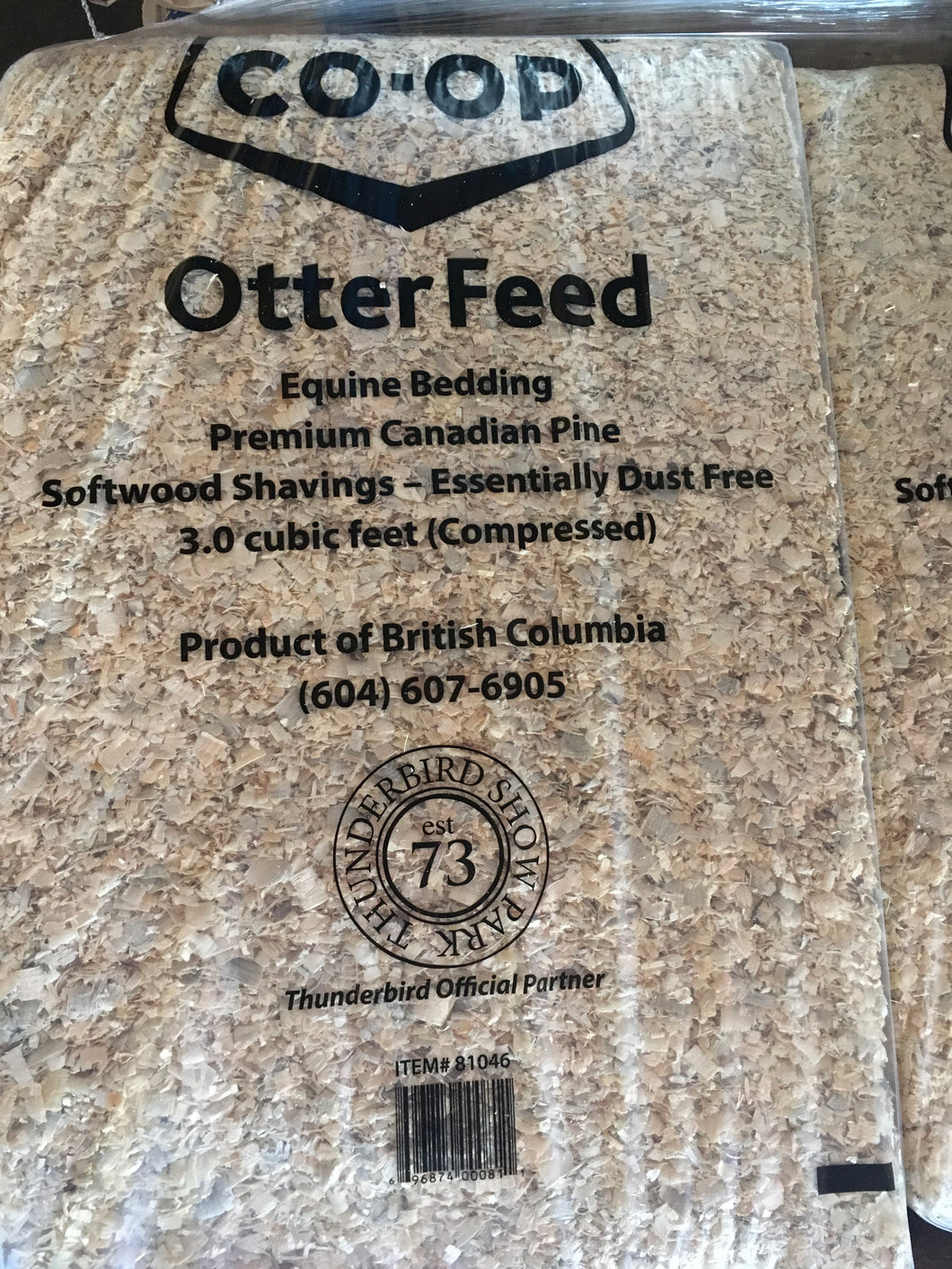 White Pine Shavings