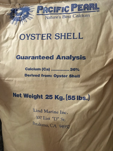 Oyster Shell