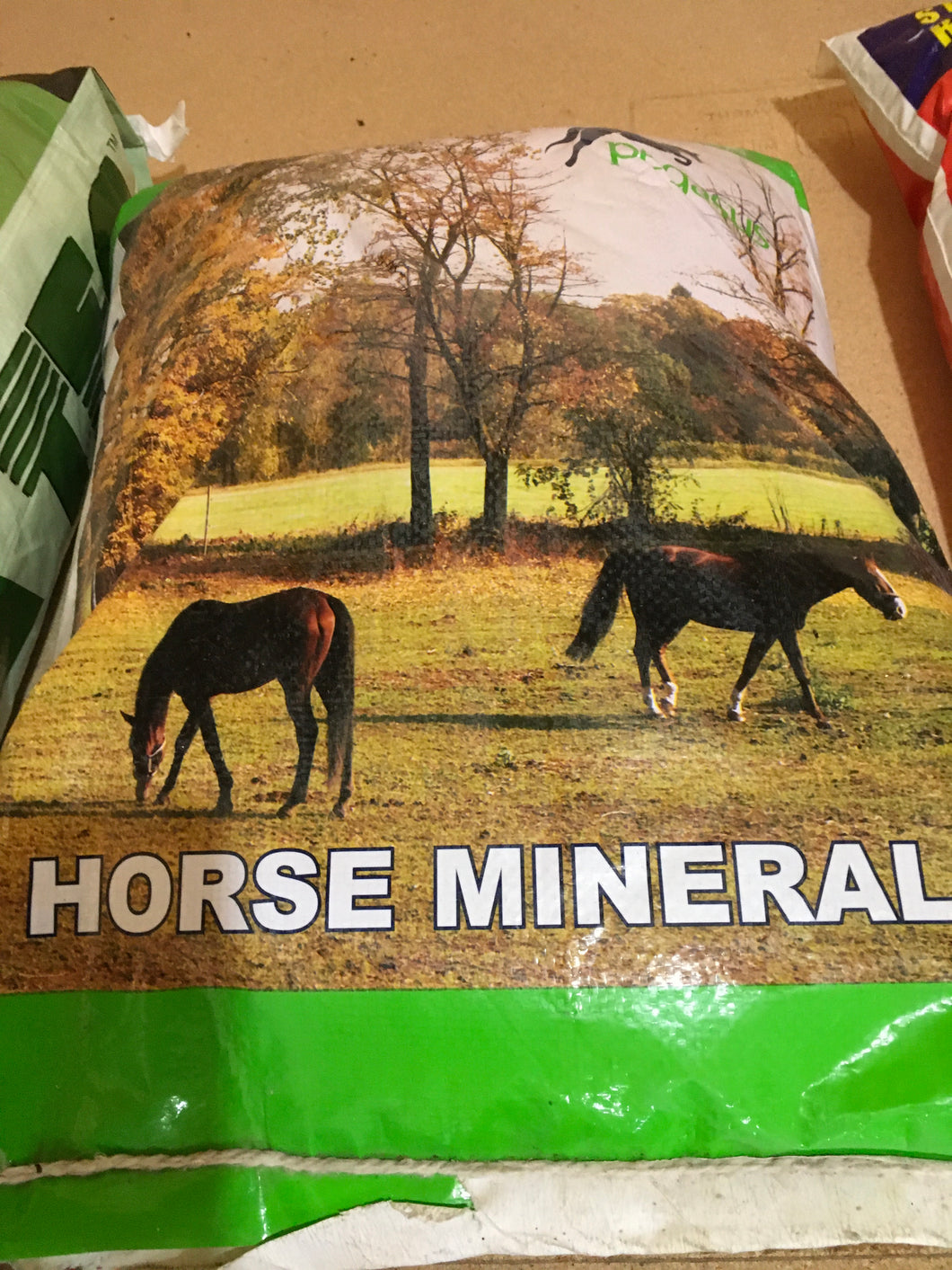 Pegasus Horse Mineral 5.5kg