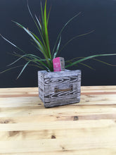 4" Tropical Assorted