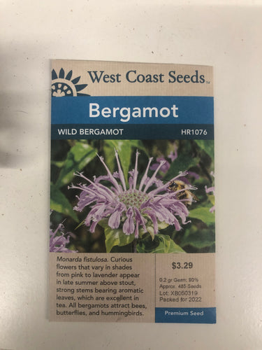 Bergamot - Wild Bergamont