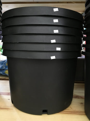 10 Gallon pot