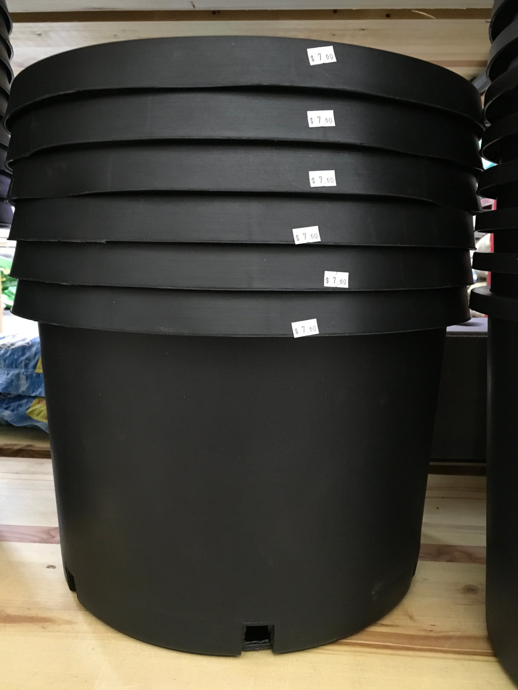 10 Gallon pot