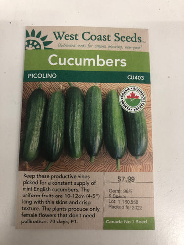 Cucumbers - Picolino
