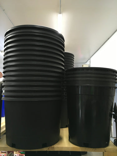 5 Gal Pot