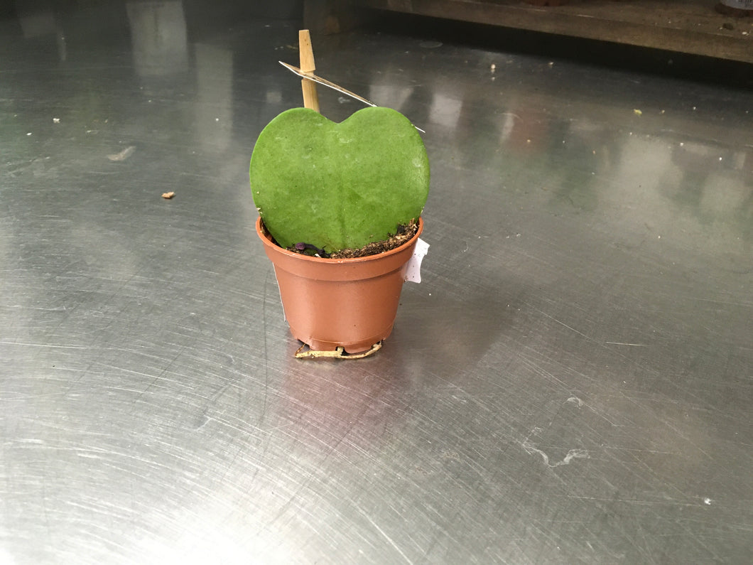 2.25