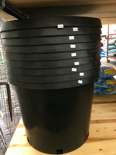 15 Gallon Pot
