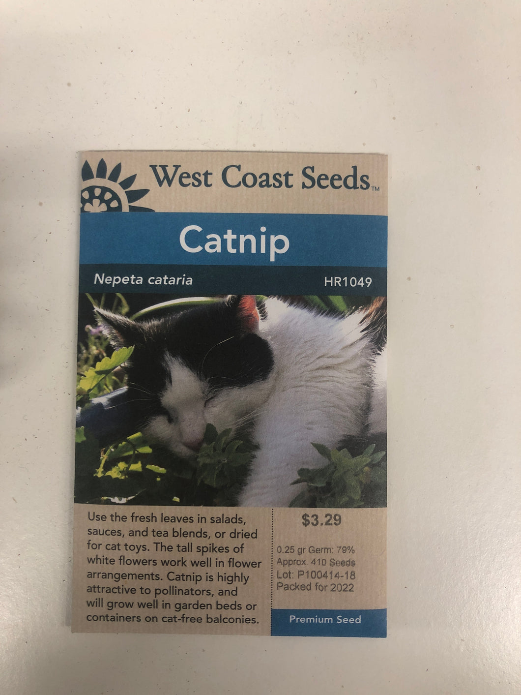 Catnip - Neoeta Cataria
