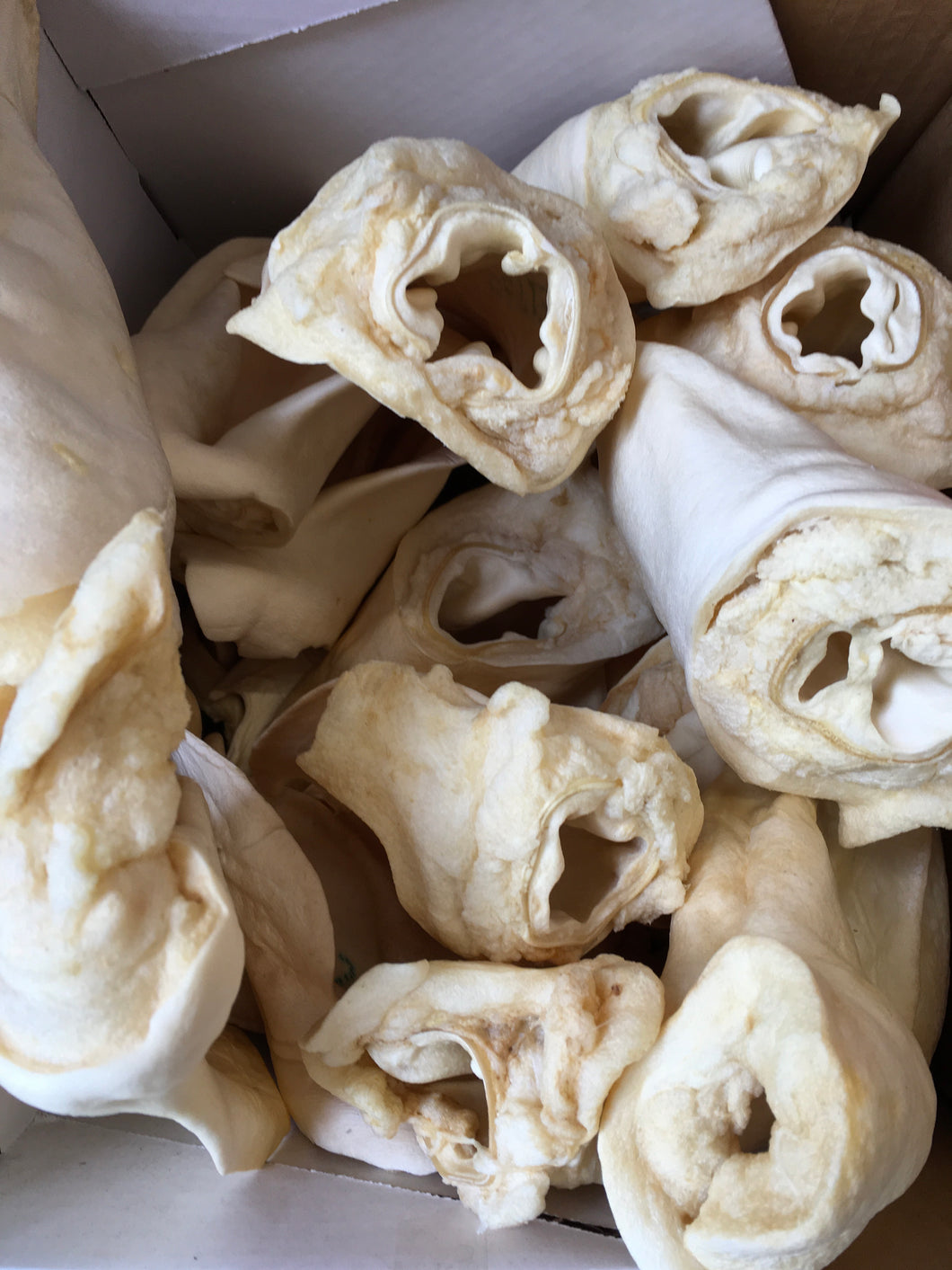 Cow Ear